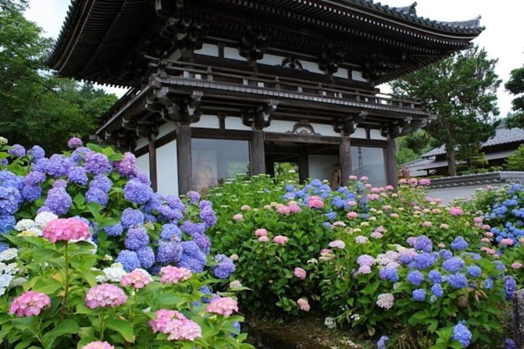 Sanzen Ya Kyoto さんぜんやきょうと- Cozy Art Space For Lover Of Travel - Quioto Exterior foto