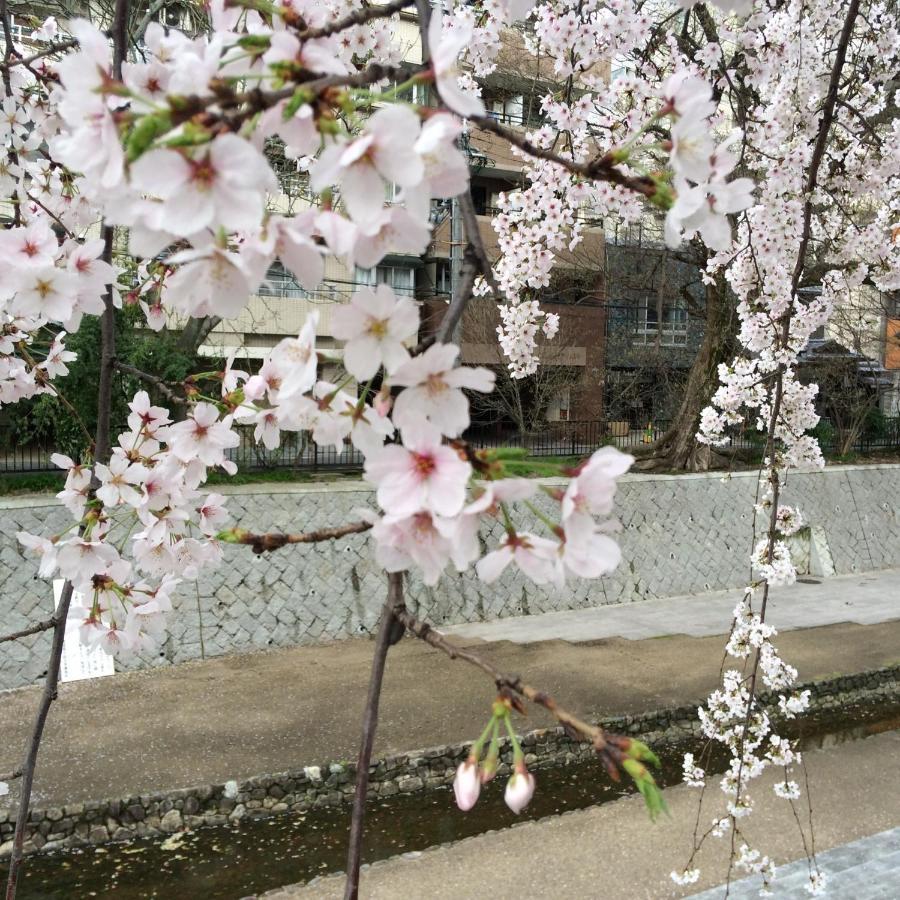 Sanzen Ya Kyoto さんぜんやきょうと- Cozy Art Space For Lover Of Travel - Quioto Exterior foto
