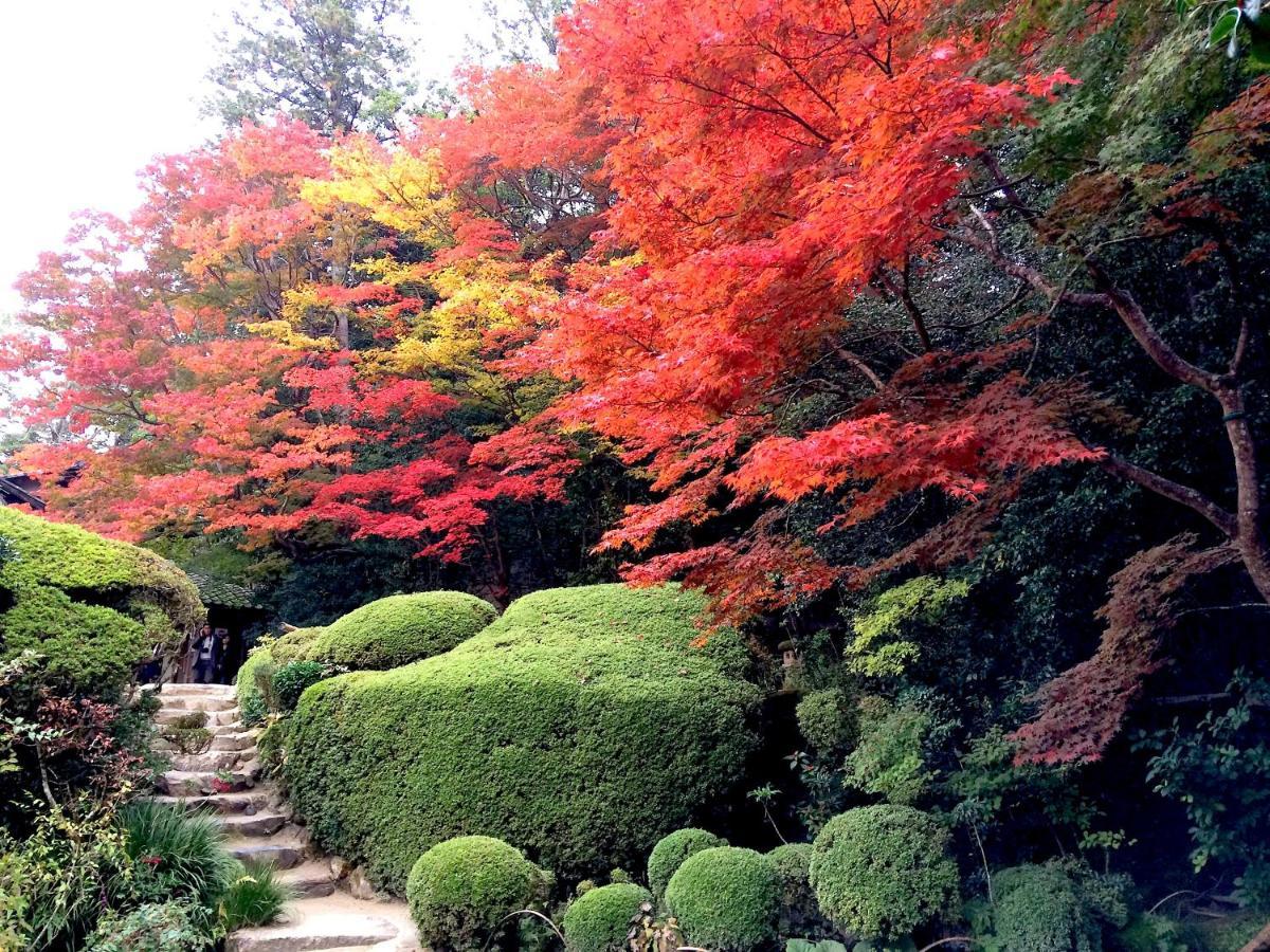 Sanzen Ya Kyoto さんぜんやきょうと- Cozy Art Space For Lover Of Travel - Quioto Exterior foto