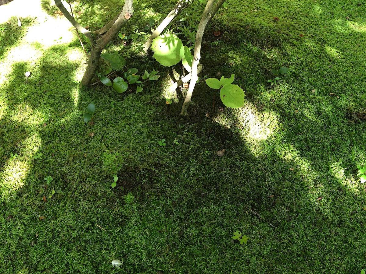 Sanzen Ya Kyoto さんぜんやきょうと- Cozy Art Space For Lover Of Travel - Quioto Exterior foto