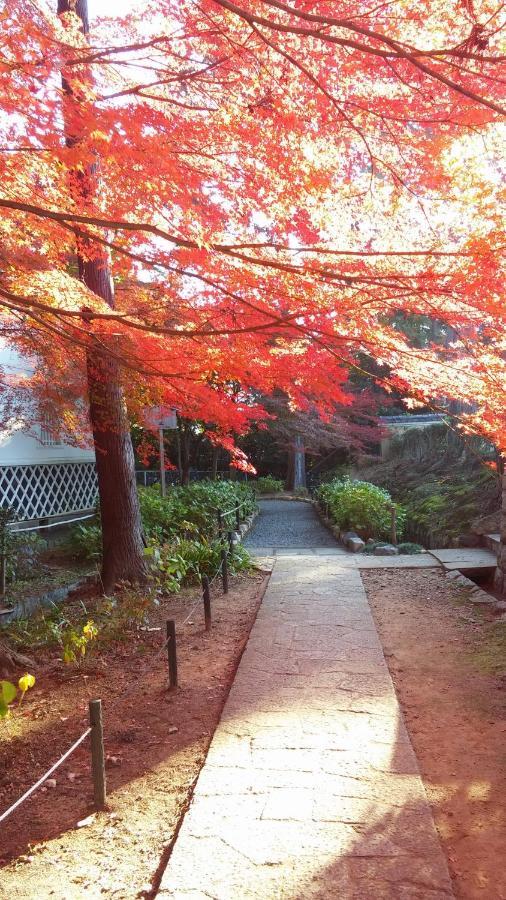 Sanzen Ya Kyoto さんぜんやきょうと- Cozy Art Space For Lover Of Travel - Quioto Exterior foto