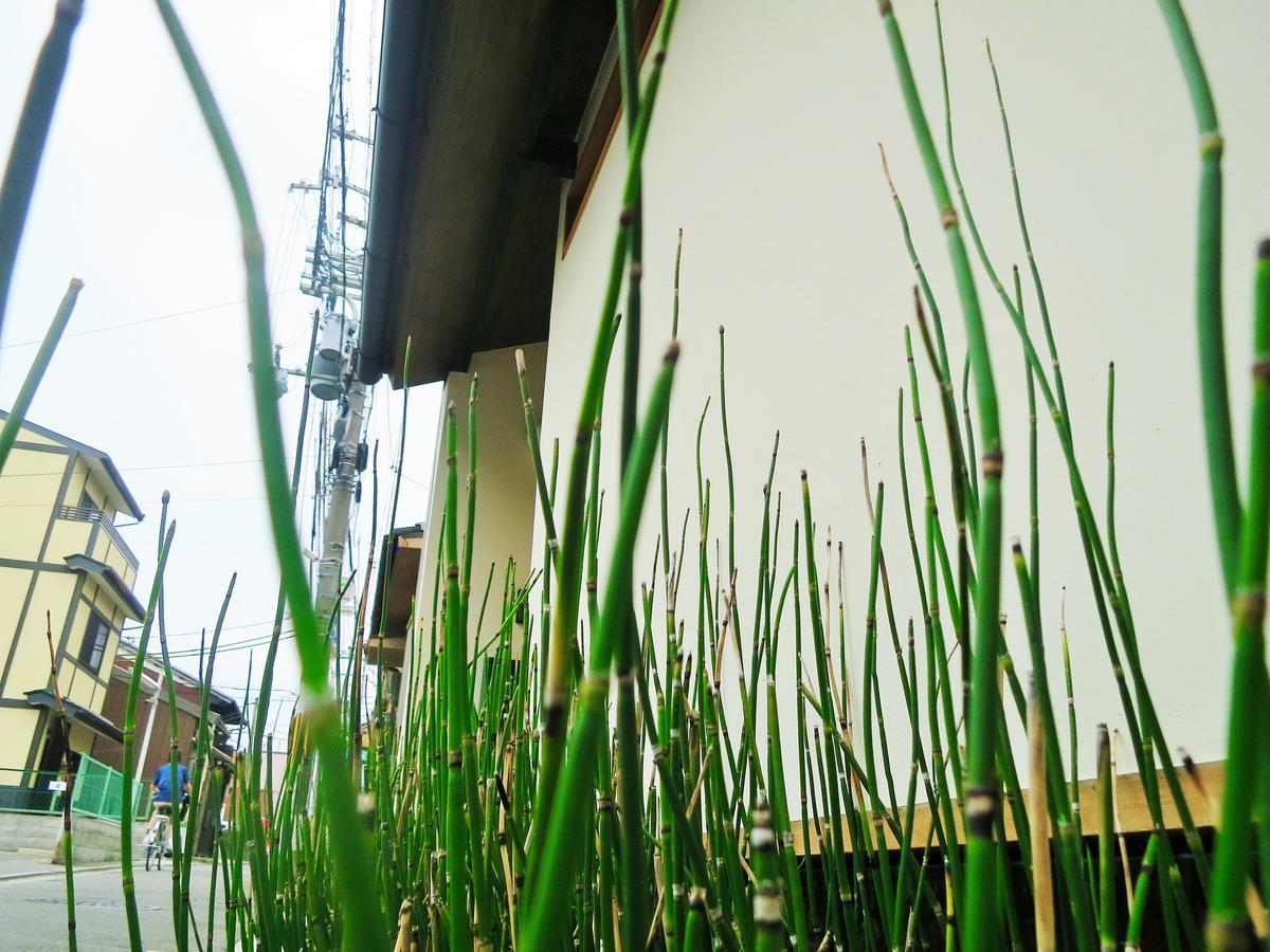 Sanzen Ya Kyoto さんぜんやきょうと- Cozy Art Space For Lover Of Travel - Quioto Exterior foto
